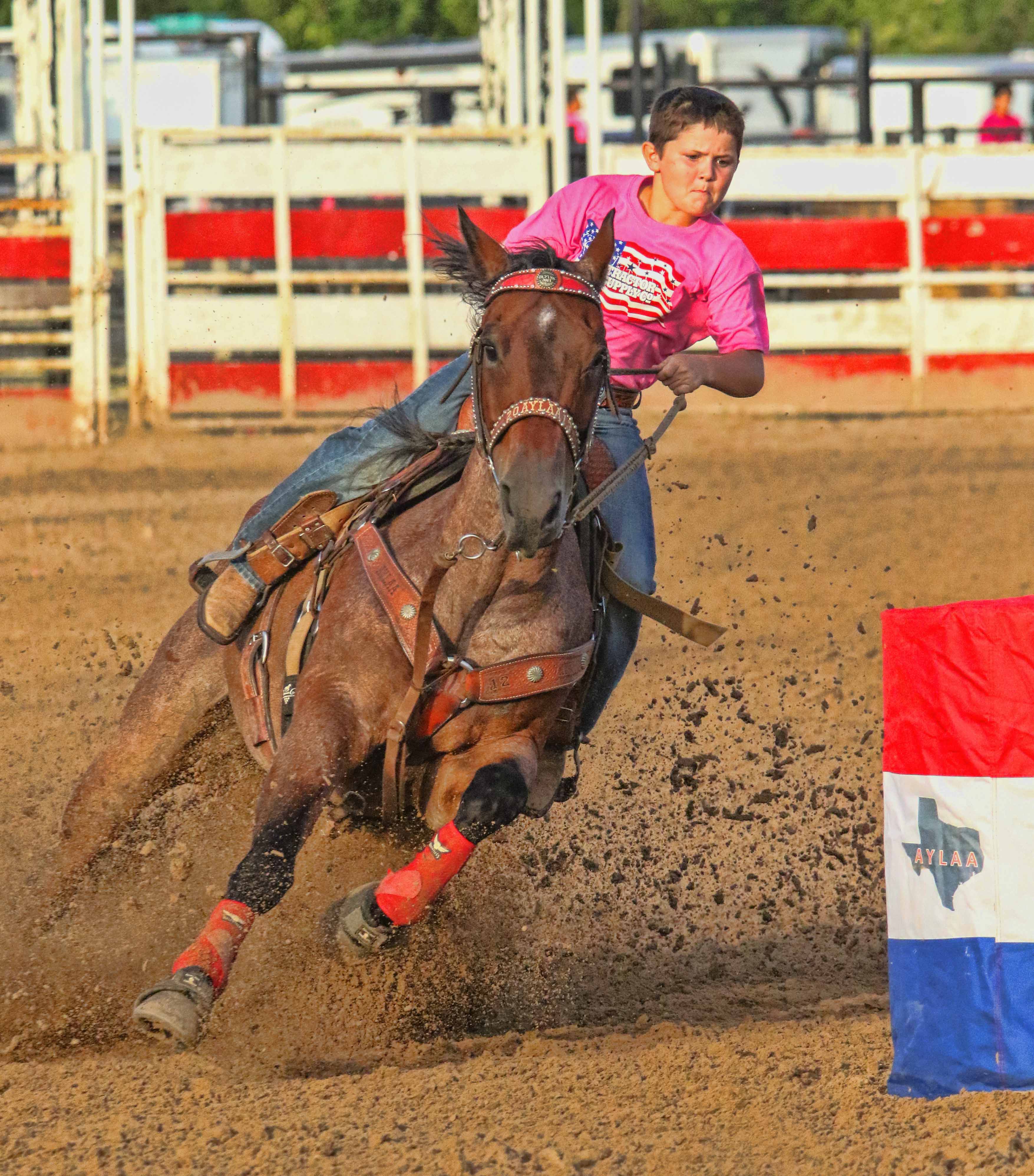 how to become a professional barrel racer how to become a professional barrel racer